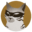 kaascat-org.pages.dev favicon